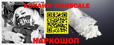крисы Моздок