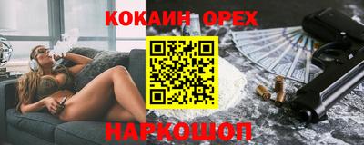 крисы Моздок