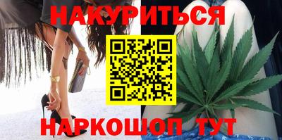 крисы Моздок