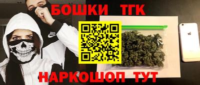 крисы Моздок