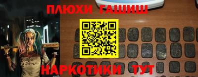 крисы Моздок