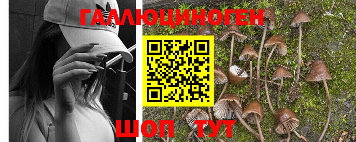 Якутск  Псилоцибиновые грибы Magic Shrooms  Вход с VPN 